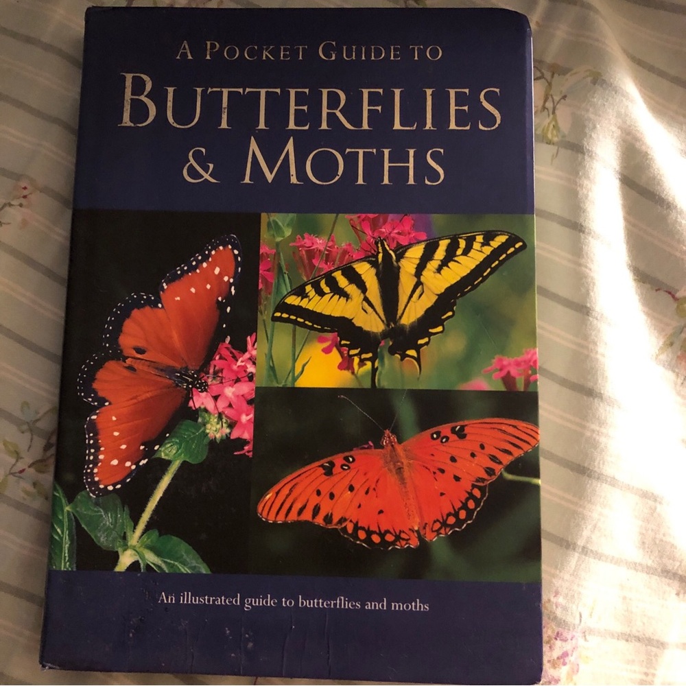 A Pocket Guide to Butterflies & Moths - Illustrated Field Guide, Blue Cover